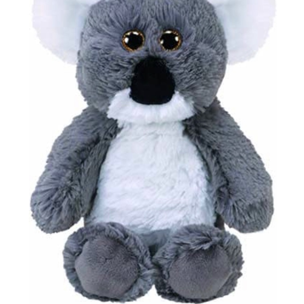 Oscar needs a home. Adopt this cutie for the holidays!